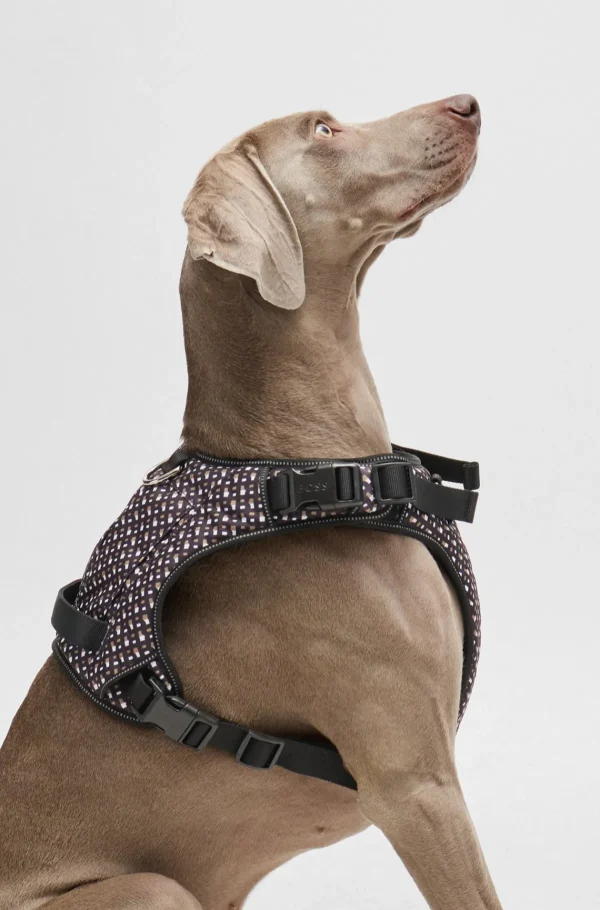 MULHER HUGO BOSS Acessórios Para Cães>Arnês Forrado Com Malha Canina Com Padrão De Monograma