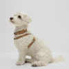 HUGO BOSS Acessórios Para Cães>Arnês Para Cães Em Pele Reciclada